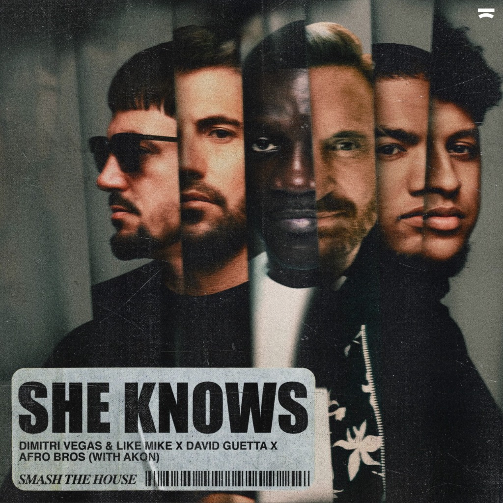 Cover Dv Lm X David Guetta X Afro Bros She Knows W.akon 1.jpg