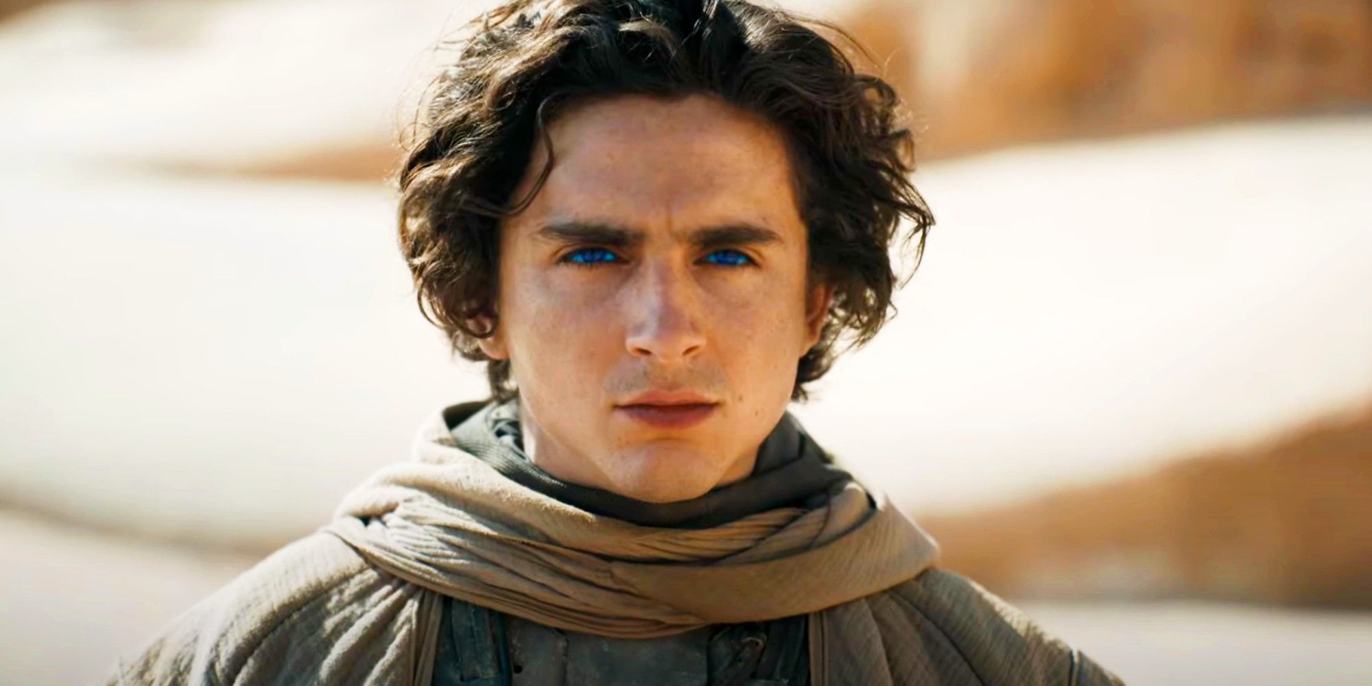 Timothee Chalamet Dune 2.jpg