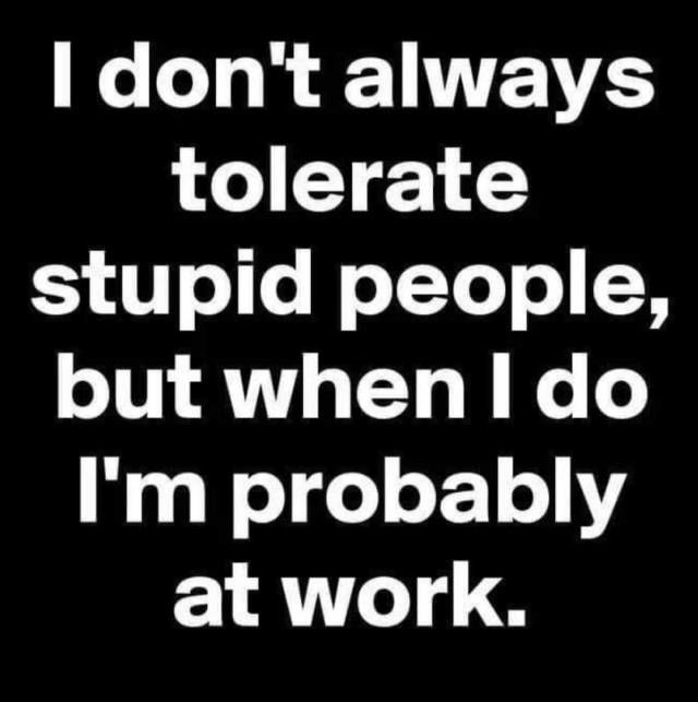 464115 I Dont Always Tolerate Stupid People.jpg