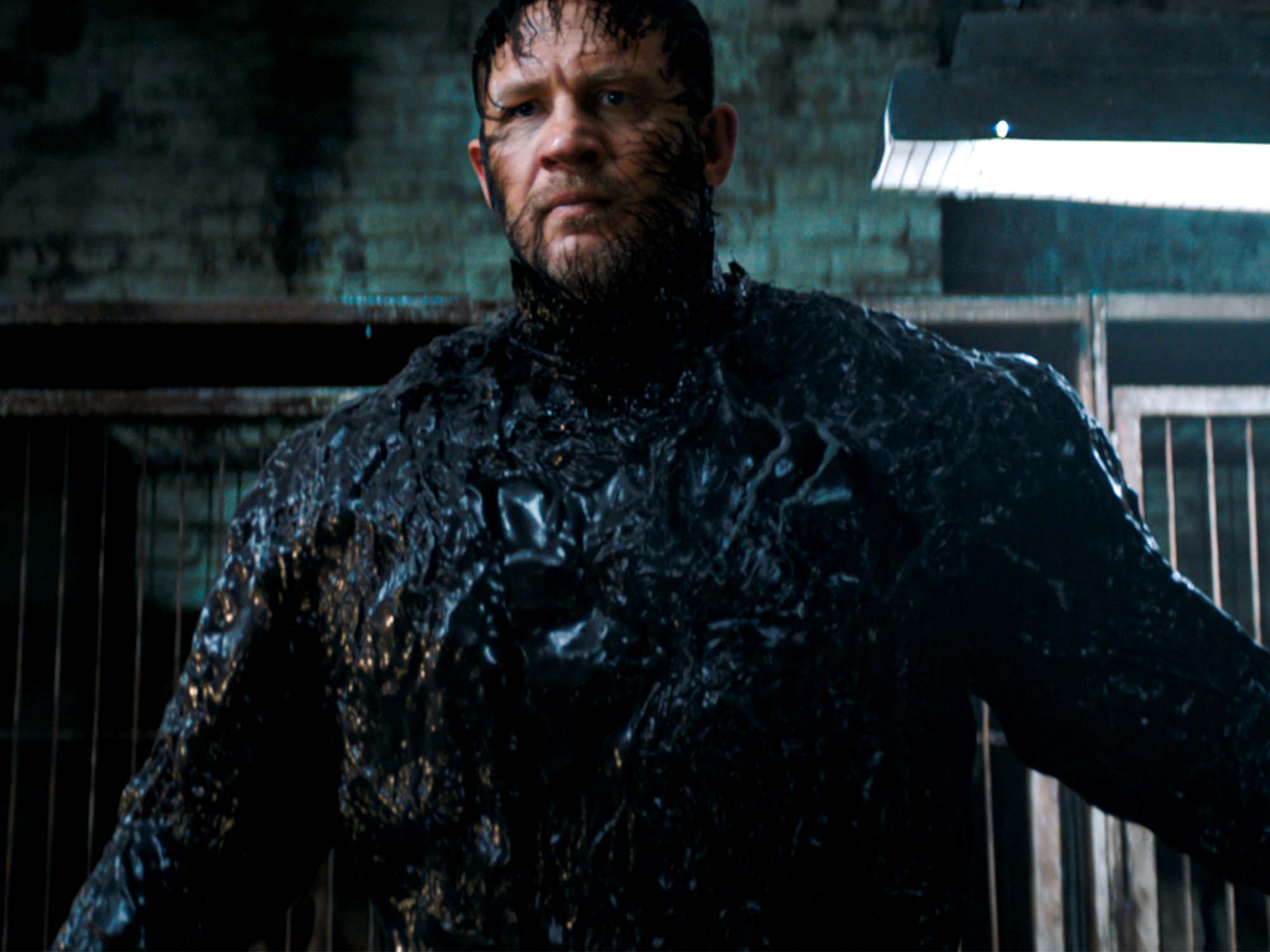 Tom Hardy In Venom The Last Dance 2024 Courtesy Of Sony Pictures.jpg