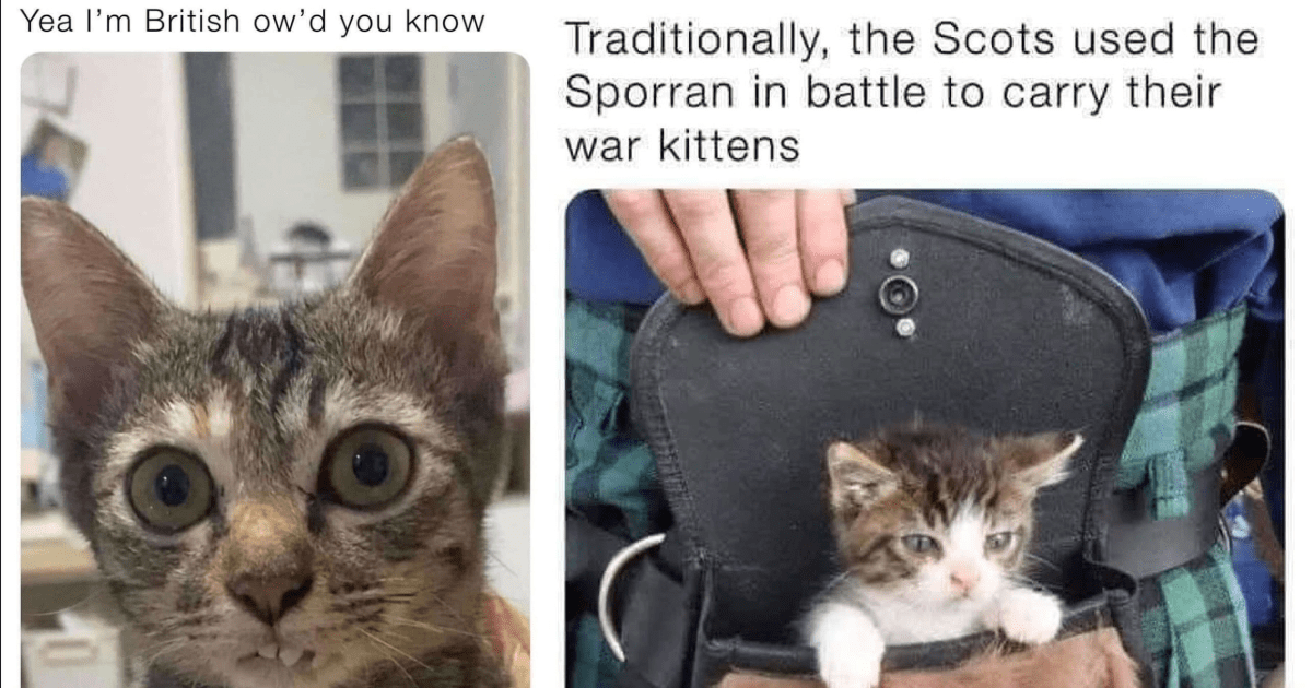 A Kitten In A Pouch Traditionally The Scots Used The Sporran In Battle To Carry Their War Kittens.png